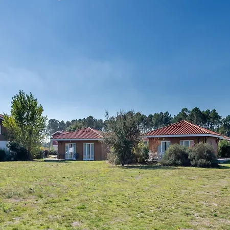 Neat In Sunny Les Landes